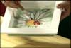 Decoupage